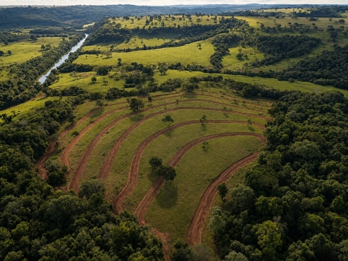 Prefeitura recupera área degradada e reforça compromisso com a conservação ambiental em Paraíso das Águas